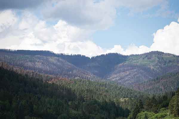 Image of JTH Forestry Research Center