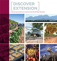 Image of Discover Extension booklet